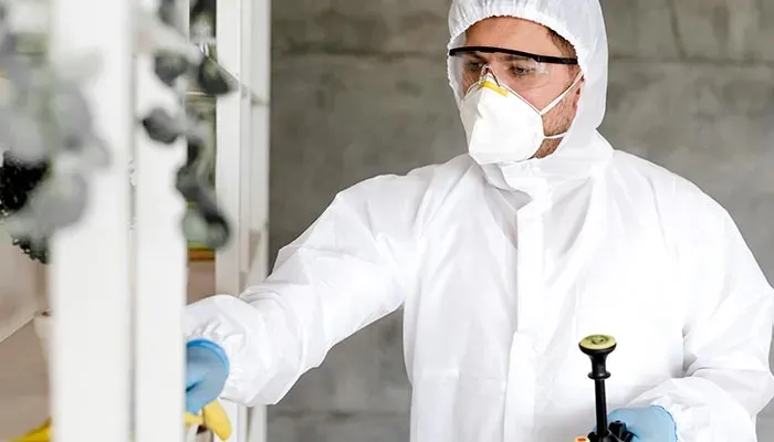 Construction pest control in Australia